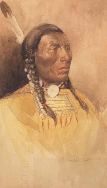 Percy Gray Medicine Crow (mk42) oil painting picture